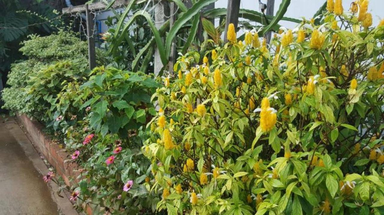 Maymyo Sa Khan Tha Hotel Pyin Oo Lwin Kültér fotó